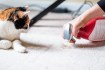 Essential Cleaning Supplies for New Pet Parents: A Comprehensive Guide